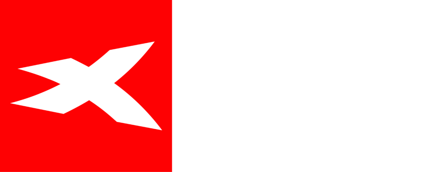 Logo XTB białe